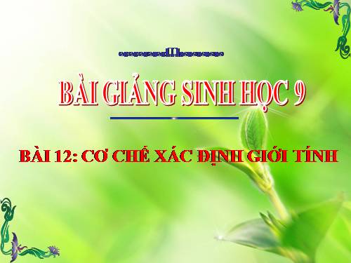 Bài 12. Cơ chế xác định giới tính