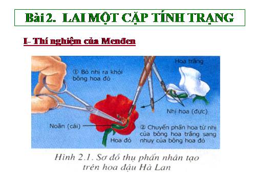 Bài 2. Lai một cặp tính trạng