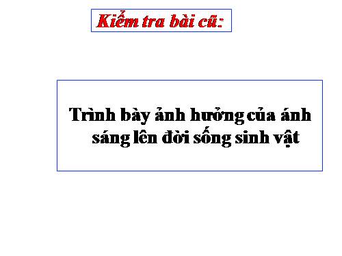 Bài 43. Ảnh hưởng của nhiệt độ và độ ẩm lên đời sống sinh vật