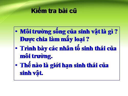 Bài 42. Ảnh hưởng của ánh sáng lên đời sống sinh vật