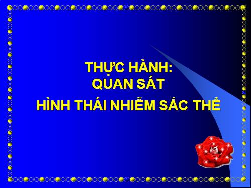 Bài 14. Thực hành: Quan sát hình thái nhiễm sắc thể