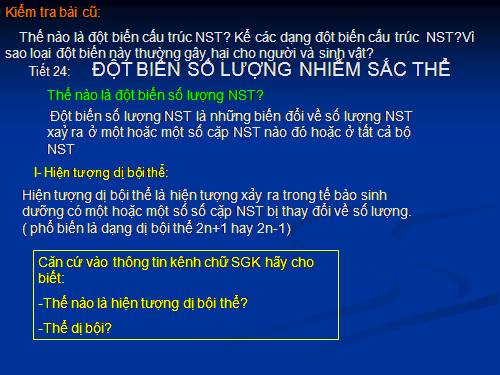 Bài 24. Đột biến số lượng nhiễm sắc thể (tiếp theo)