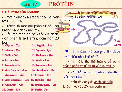 Bài 19. Mối quan hệ giữa gen và tính trạng