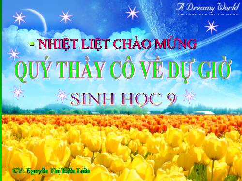 Bài 48. Quần thể người