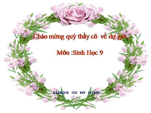 Bài 54. Ô nhiễm môi trường