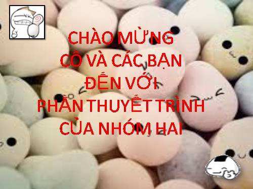 Bài 57. Thực hành: Tìm hiểu tình hình môi trường ở địa phương