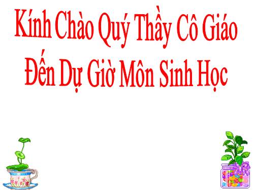 Bài 55. Ô nhiễm môi trường (tiếp theo)