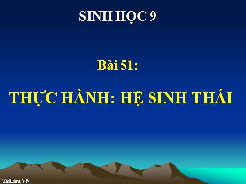 Bài 51. Thực hành: Hệ sinh thái