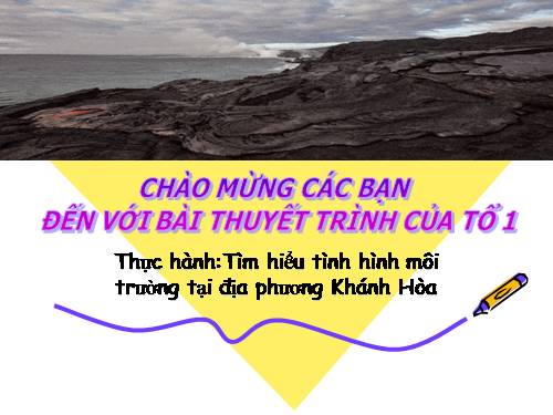 Bài 57. Thực hành: Tìm hiểu tình hình môi trường ở địa phương