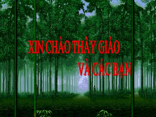 Bài 56. Thực hành: Tìm hiểu tình hình môi trường ở địa phương