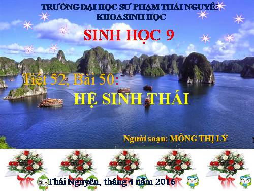 Bài 50. Hệ sinh thái