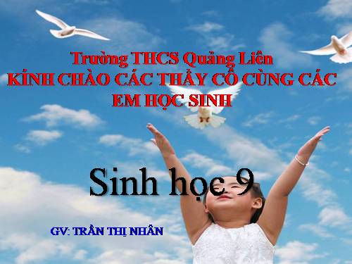 Bài 29. Bệnh và tật di truyền ở người