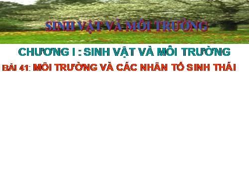 Bài 41. Môi trường và các nhân tố sinh thái