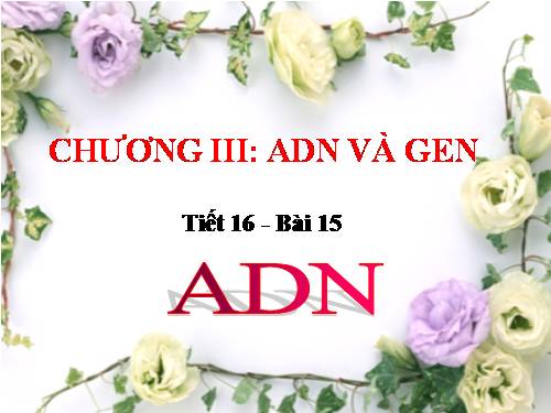 Bài 15. ADN