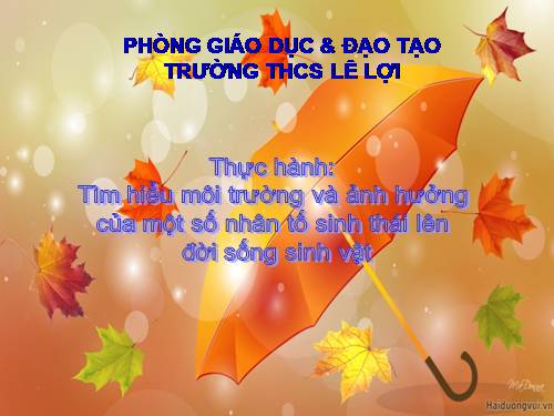 Bài 46. Thực hành: Tìm hiểu môi trường và ảnh hưởng của một số nhân tố sinh thái lên đời sống sinh vật