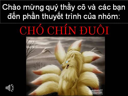 Bài 55. Ô nhiễm môi trường (tiếp theo)