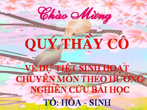 Bài 54. Ô nhiễm môi trường