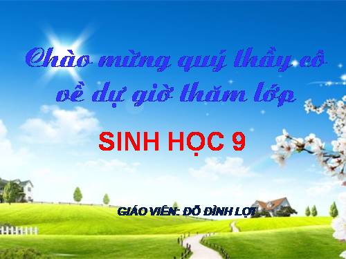 Bài 54. Ô nhiễm môi trường