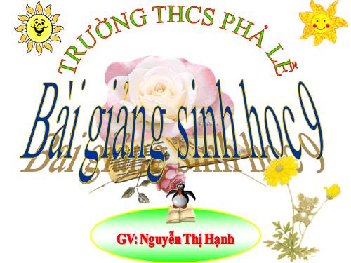 Bài 55. Ô nhiễm môi trường (tiếp theo)