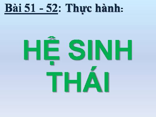 Bài 51. Thực hành: Hệ sinh thái