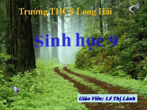 Bài 50. Hệ sinh thái