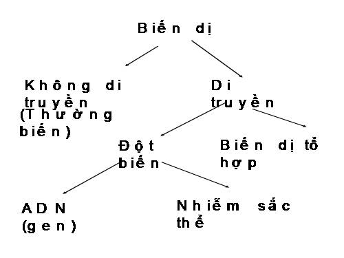 Bài 21. Đột biến gen