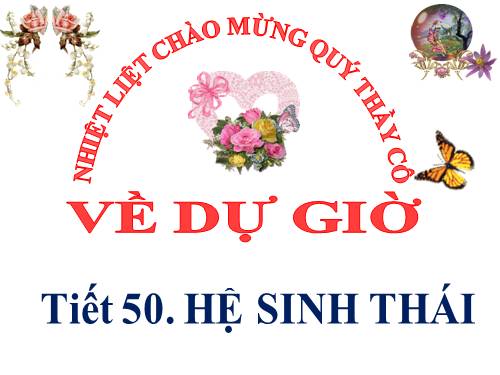 Bài 50. Hệ sinh thái