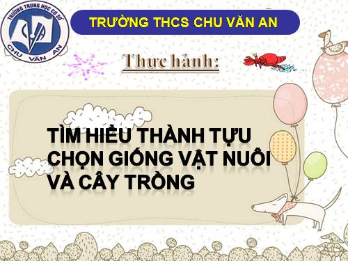 Bài 39. Thực hành: Tìm hiểu thành tựu chọn giống vật nuôi và cây trồng