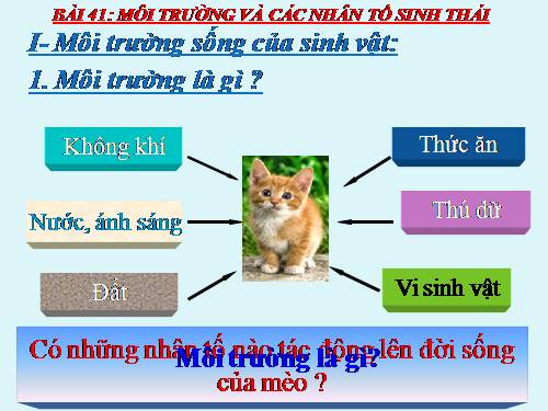 Bài 41. Môi trường và các nhân tố sinh thái