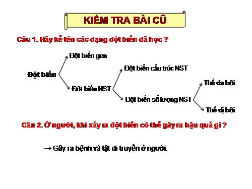 Bài 29. Bệnh và tật di truyền ở người