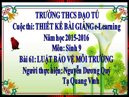 Bài 61. Luật Bảo vệ môi trường