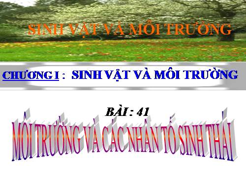 Bài 41. Môi trường và các nhân tố sinh thái