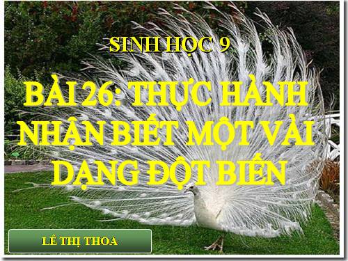 Bài 26. Thực hành: Nhận biết một vài dạng đột biến