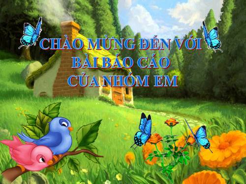 Bài 39. Thực hành: Tìm hiểu thành tựu chọn giống vật nuôi và cây trồng