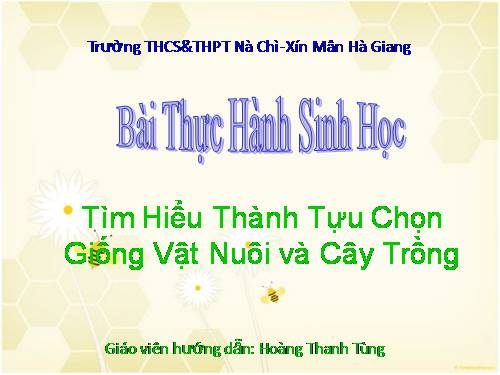 Bài 39. Thực hành: Tìm hiểu thành tựu chọn giống vật nuôi và cây trồng