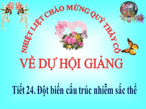 Bài 22. Đột biến cấu trúc nhiễm sắc thể