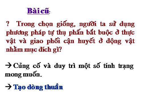 Bài 35. Ưu thế lai