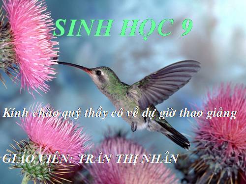 Bài 23. Đột biến số lượng nhiễm sắc thể