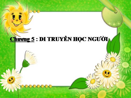 Bài 28. Phương pháp nghiên cứu di truyền người
