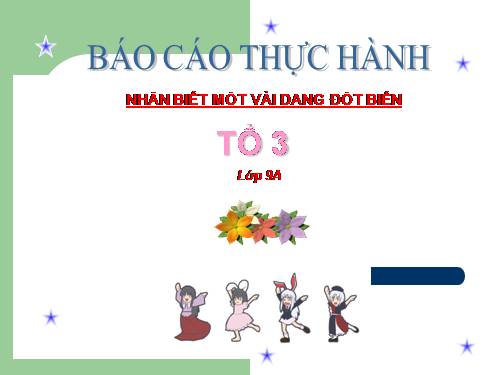 Bài 26. Thực hành: Nhận biết một vài dạng đột biến