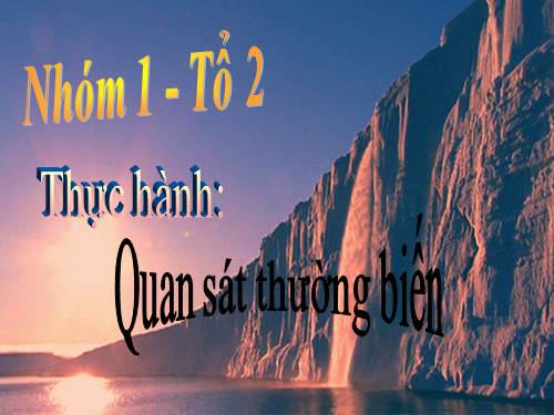 Bài 27. Thực hành: Quan sát thường biến