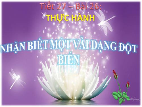 Bài 26. Thực hành: Nhận biết một vài dạng đột biến