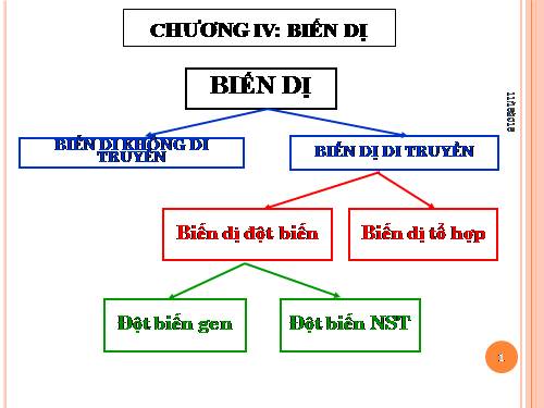 Bài 21. Đột biến gen