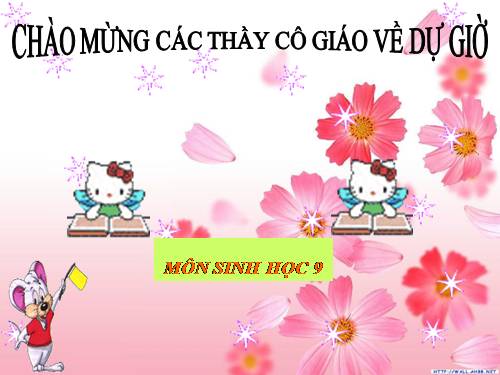 Bài 24. Đột biến số lượng nhiễm sắc thể (tiếp theo)