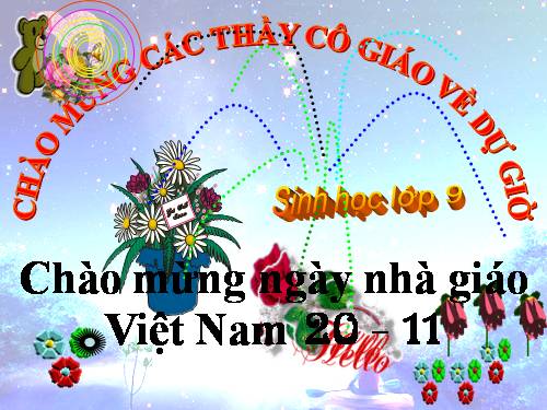 Bài 22. Đột biến cấu trúc nhiễm sắc thể