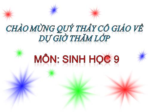 Bài 24. Đột biến số lượng nhiễm sắc thể (tiếp theo)