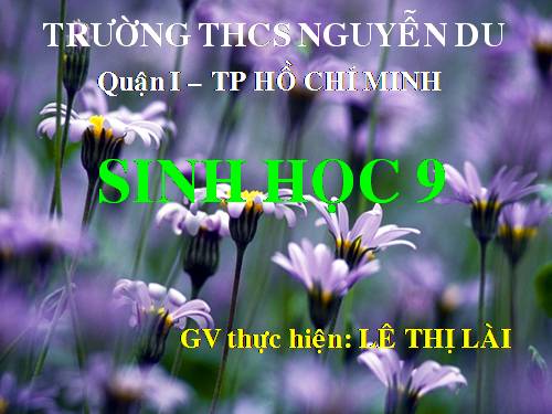 Bài 24. Đột biến số lượng nhiễm sắc thể (tiếp theo)