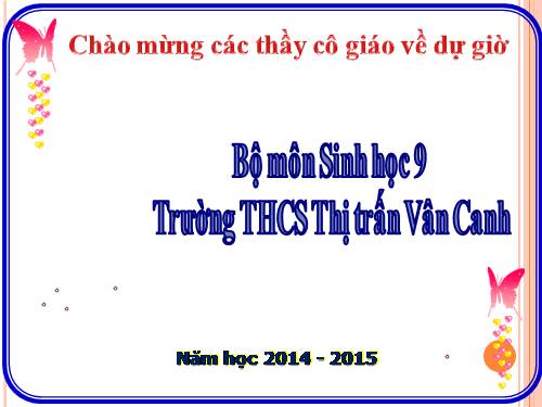 Bài 23. Đột biến số lượng nhiễm sắc thể