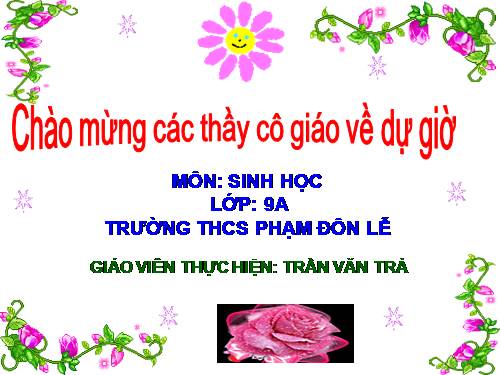 Bài 17. Mối quan hệ giữa gen và ARN