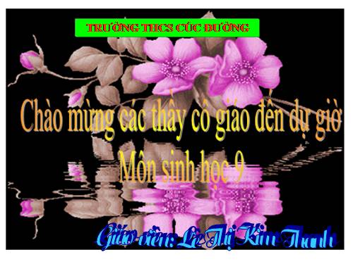 Bài 17. Mối quan hệ giữa gen và ARN